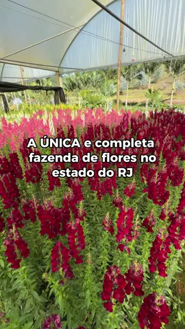Visitação no lugar perfeito? É aqui! 