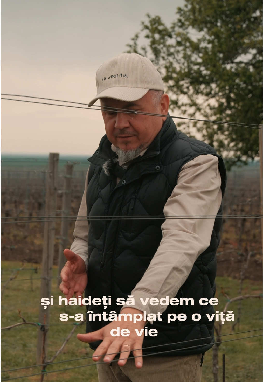 Frigul a venit și peste via de la Tohani. Ce înseamnă acest lucru pentru plante și dezvoltarea lor ne explică Virgil Mândru, proprietarul Tohani România.  #tohaniromania #FeteascaDeTohani 