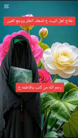 #حسينايات💚 #علاج اهل البيت عليهم السلام  لضعف النظر ووجع العين #يافاطمة_الزهراء #ياعلي_مولا_عَلَيہِ_السّلام#ياحسين #اللهم_صل_على_محمد_وآل_محمد #يامهدي_ادركنا_العجل_العجل_الفرج_الفرج #فولو🙏🏻لايك❤️اكسبلور🙏🏻🌹💫 #لايك_متابعه_اكسبلور #لايك__explore___ #لايك__explore___ 