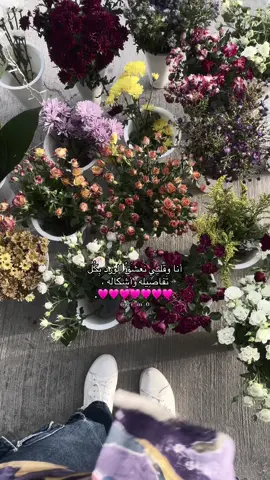 🩷 #fyp#لايك_متابعه_اكسبلور #الشعب_الصيني_ماله_حل😂😂 #مجرد________ذووووووق🎶🎵💞 #اكسبلورexplore #مشاهير_تيك_توك #ورد #flowers 