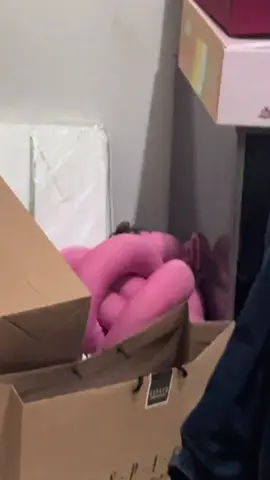 O dia que quase tive um infarto com esse bicho no meu quarto 🤣