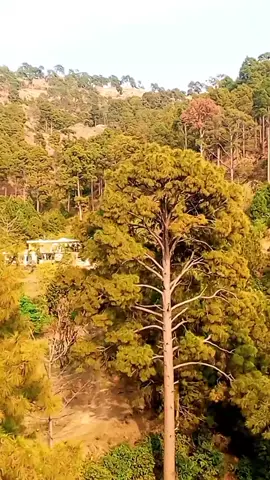 #azadkashmir #viral🔥🔥🔥 #foryou #100kviews #dontunderreviewmyvieo #viewsproblem💔😔 #inshotvideoedit #elevenlabvoiceediting #unfreezemyacount #fyppppppppppppppppppppppp #repostrequest @🦋༆ᴀɪzᴀ TIKTOK 💕 @گاؤں کی لڑکی 143 #viewsproblem💔😔 