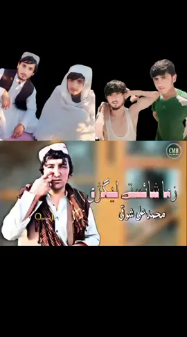 زما شاٸستہ لگیژی بد رنگ دی ورک سی#❤️‍🔥❤️‍🔥❤️‍🔥 #foryou #foryou #foryou #❤️‍🔥❤️‍🔥❤️‍🔥 
