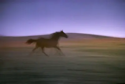 This song is stuck in my headd #wildhorses #rollingstones #fyp #edit #moodboard