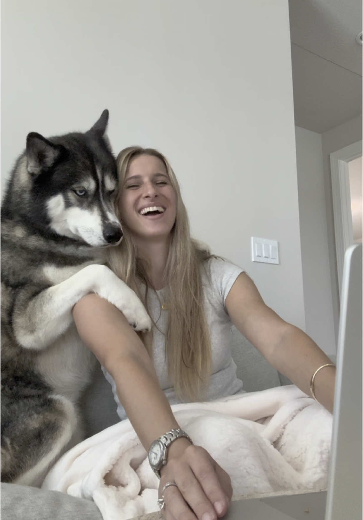 Titan said ur done  #dogsoftiktok #dogsoftiktokviral #husky #huskies #dogs #dog #funny 