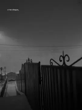 тгк: musicc_00 | #fyp #on #rek #song #тбили 