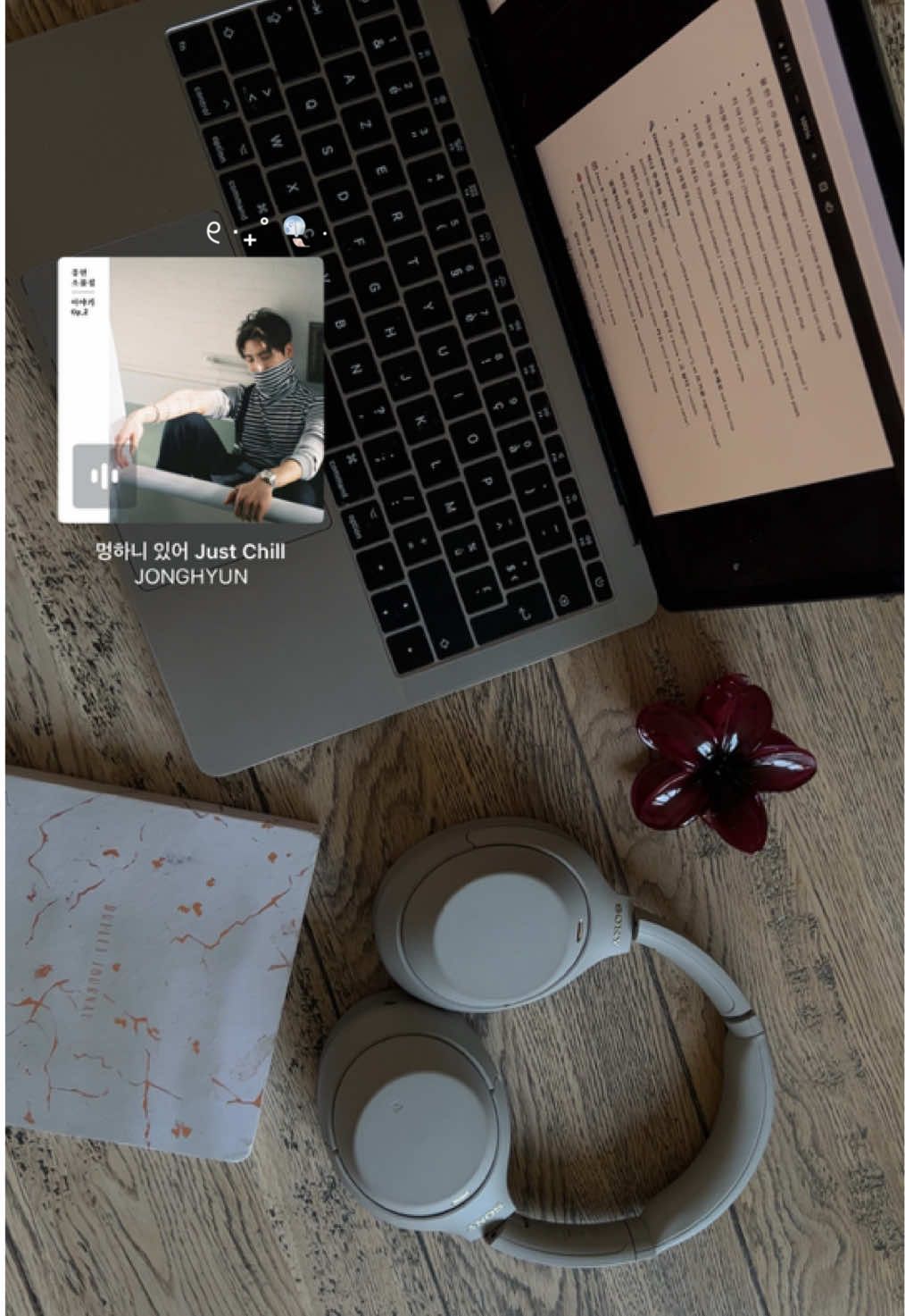 ୧ ‧₊˚ 🎐 ⋅ study motivation ! 🫶🏻 #studytok #academicsuccess #studymotivation #studywithme #consistency #studentlife #polyglot #french #koreanlanguage #motivationalspeech #studysession #studying #languagelearning 