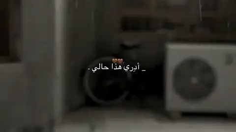وانا لا أُبالي🤎😔 #ادري_هذا_حالي_طفى_واني_لابالي #محمد_باقر_الخاقاني #صوت_ادمان #تصاميم_حسينية #المُصَممة_أيـة #اللهم_عجل_لوليك_الفرج @مُؤَمَل 