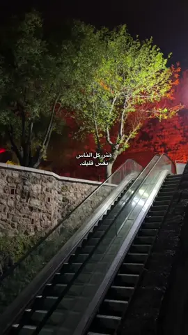 #يومياتي🦋 #تصويري #يوميات_هبة🌻 #fffffffffffyyyyyyyyyyypppppppppppp #ستورياتي_تصميمي #بورصة_كنت_ميدان #اسطنبول🇹🇷 #bursa 