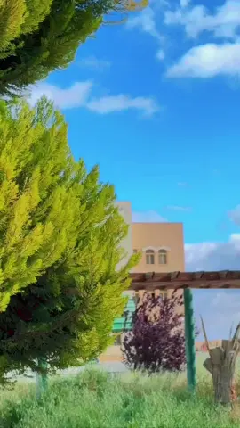 كلية التمريض هي منارة للرحمة والعطاء 🤍 هي المكان الذي يجتمع فيه العلم والإنسانية 🤍 #لايك_متابعه_اكسبلور #لايك #لايكات #معان #تمريض #foryoupageofficiall #جامعة_الحسين_بن_طلال 