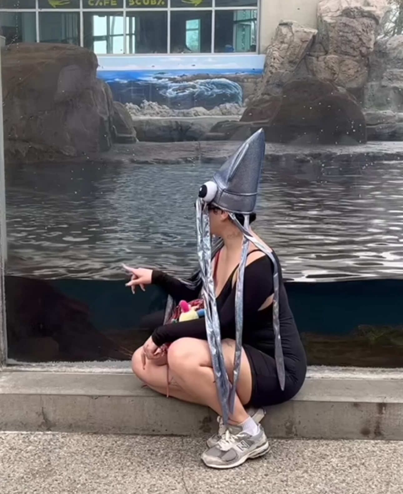 new vid out 🐬