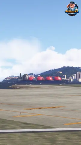 Flight That Tests Your Guts!! #shorts #airplane 023