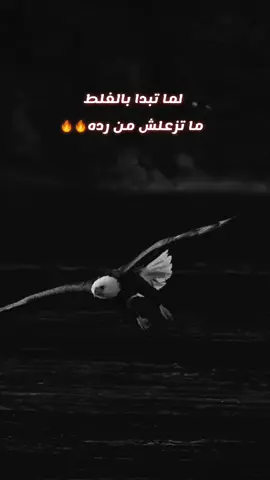 لما تبدا بالغلط متزعلش من ردو#اكسبلور #ترند #الحر#f#fyp #foryou #viral #هواره_ولنا_في_قمة_المجد_رايات #سوهاج_قنا_اسيوط_اسوان_المنيا_الاقصر #تيك_توك #humor 