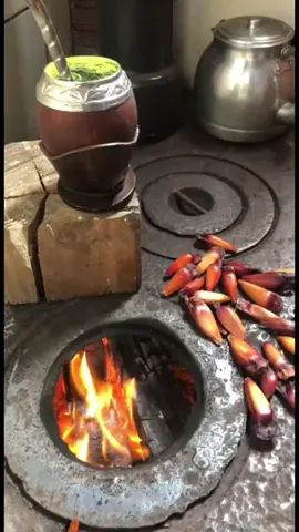 A cozinha de quase todo gaúcho no inverno é assim: Fogão a lenha, pinhão na chapa e 🧉 . #chimarrão #chimarrao #fogaoalenha 