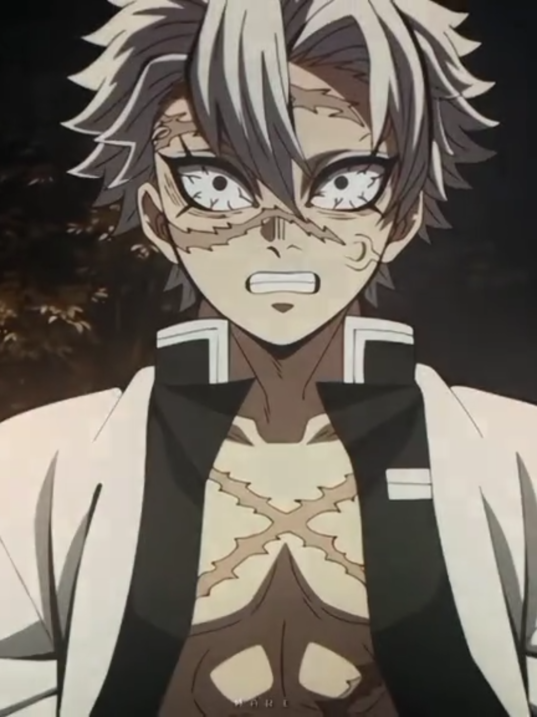 os três #sanemishinazugawa #sanemiedit #demonslayer #kimetsunoyaiba #animeedit #fypシ゚viral 