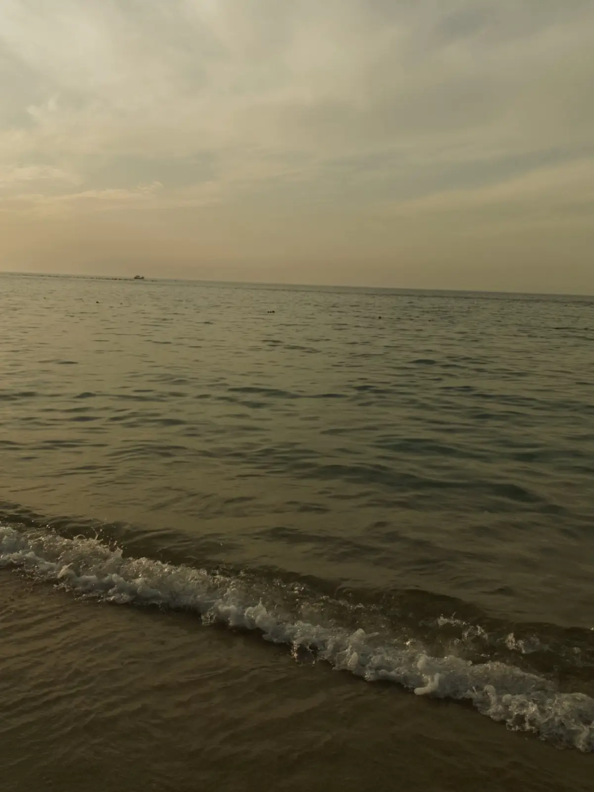 #alexandria #egypt #cairokee #كايروكي #fyp #fyppppppppppppppppppppppp #photography 