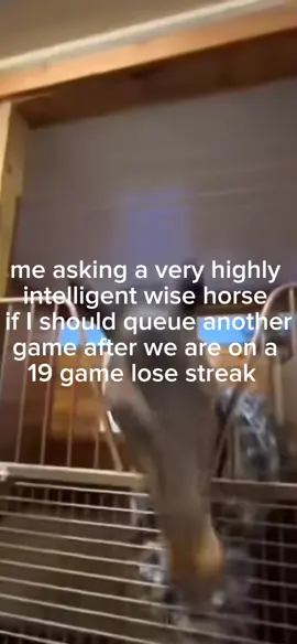 I mean if you insist 