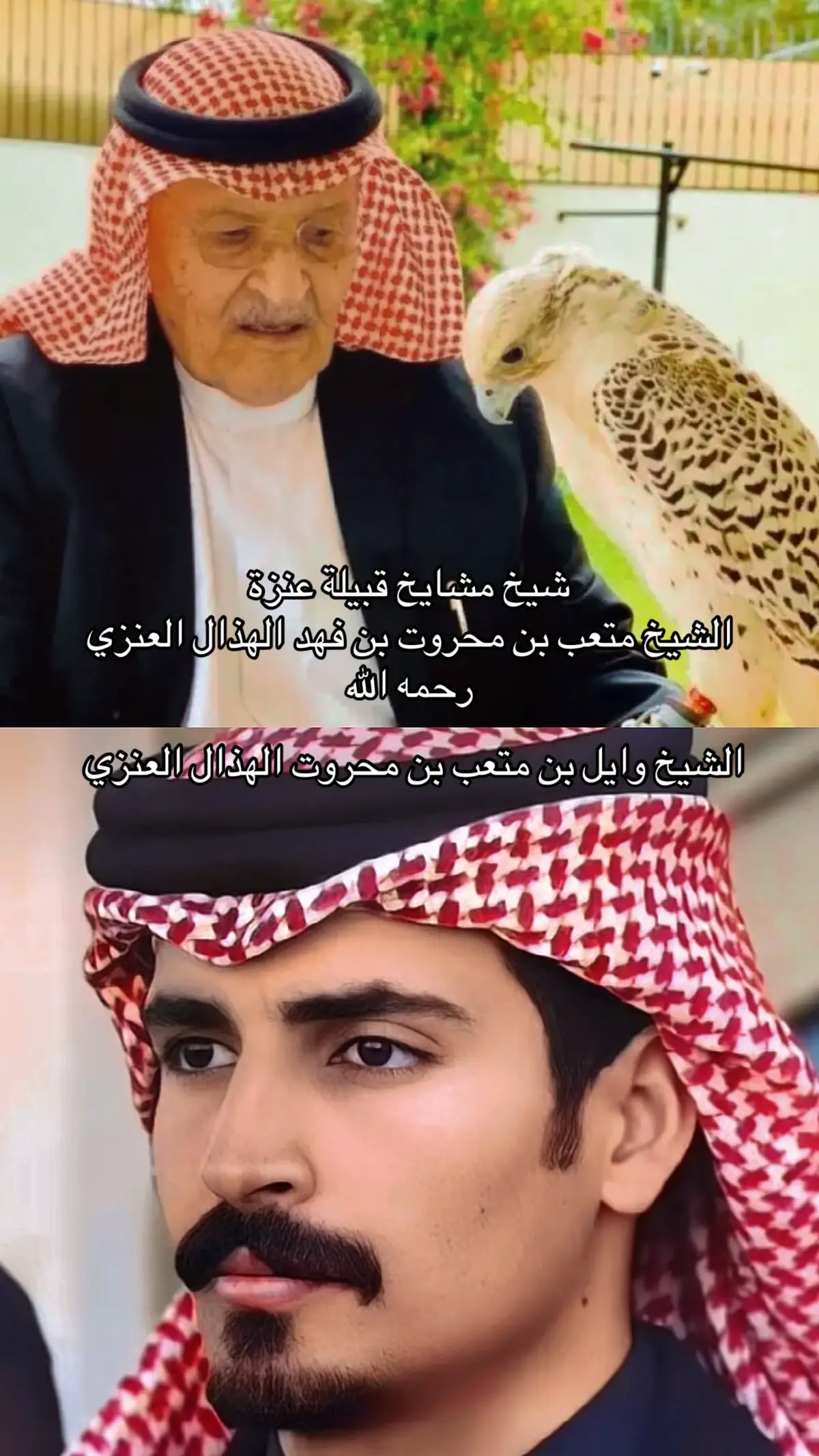 #شيخ_الشيوخ #الشيخ_وايل_متعب_محروت_الهذال #العنزي #عنزه_بني_وايل #عنزه #عنزه_حكام_الجزيره #fyp #foryou #capcut #fypシ゚ #السعوديه #قطر #الويلان #نجد #fffffffffffyyyyyyyyyyypppppppppppp 