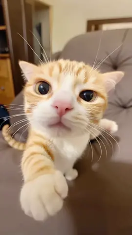 em xinh mà❤️❤️❤️❤️😅😅😅