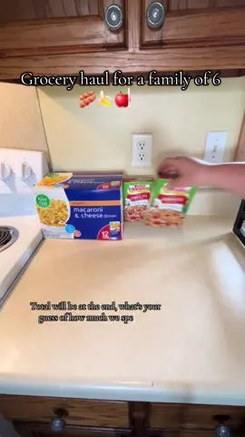 How much do you spend every 2/3 weeks on groceries and what size family do you have? I’m curious 👀 #groceryhaul #groceries #familyof6 #relatablegroceryhaul #relateable #realisticmomlife #roadto20k 
