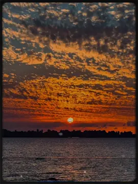 قولو لعين الشمس ما تحماشي🖤 #حط_صورتك 🙋‍♂️ #حوده_بندق #foryoupage#fypp  #viral_video #الكازروني #explore  #محظور_من_الاكسبلور🥺 #fyp #مش_هنظبط_الريتش_بقي🖤 #تصميم_فيديوهات🎶🎤🎬 #قوالب_كاب_كات #video# #التريند_الجديد #اكسبلورexplore❥🕊 