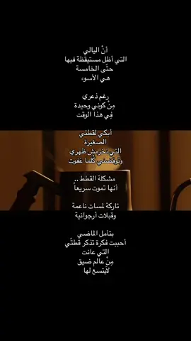 أنْ اليالي  التي أظل مستيقظة فيها  حتّى الخامسة  هي الأسوء رغم ذعري  مِنْ كوني وحيدة  فِي هذا الوقت  أبكي لقطتي  الصغيرة  التي تخرمش ظهري  وتوقضني كُلما غفوت  مشكلة القطط .. أنها تموت سريعاً  تاركة لمسات ناعمة   وقبلات أرجوانية  بتأمل الماضي  أحببت فكرة تذكر قطتّي  التي عانت  مِنْ عالم ضيق  لاّيتسع لها #fyyyyyyyyyyyyyyyyyyy #كتاباتي #real #tiktoklongs #كتابات_فصحى #foryoupage #✍️🥀🖤 #like #اكسبلورexplore #العراق #foryou #viral #قديم #foryou #exploer #flypシ #فصحى #كتابات 