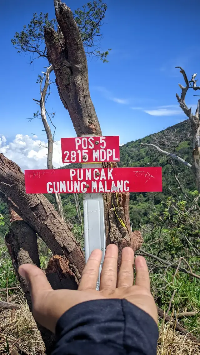 puncak gunung malang cerahh #gunungslamet3428mdpl#gunungmalanggunungslamet#gunungmalangpurbalingga#basecampgunungslametviagunung#wadasgantunggunungmalang#wadasgantung#pendakigunung#pendakiindonesia#fyp#fypage#gunungmalang2815mdpl @wadas_gantung_pos1 