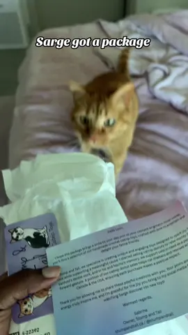 Thank you so much for the lovely gift ❤️🥹 we love it @Stump & Tail 🇨🇦 