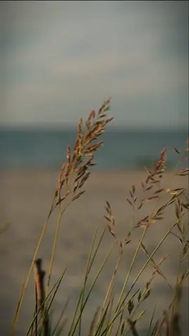 Dia adalah aku  #quotes #sheisme #diaadalahaku #life #zeafather #fyp #CapCut 