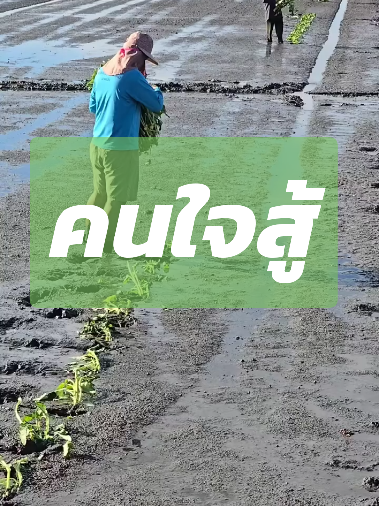 ชีวิตนี้ชนะอะไรก็ไม่เท่าชนะใจตัวเอง เพราะพวกเราเป็น