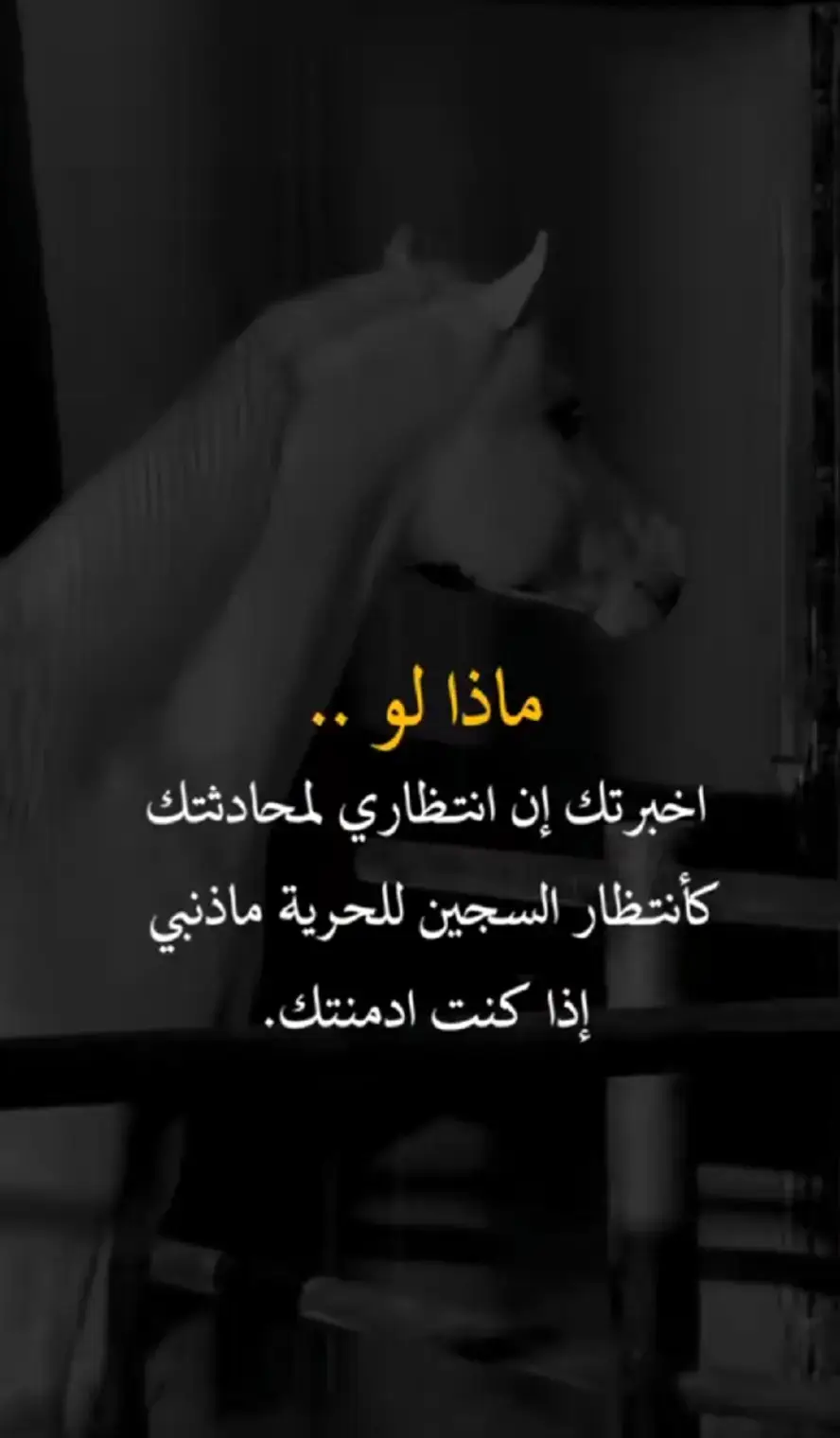 حبيبى ❤️ 