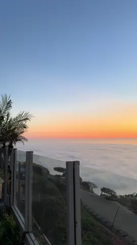 #lagunabeach #socal #fyp 
