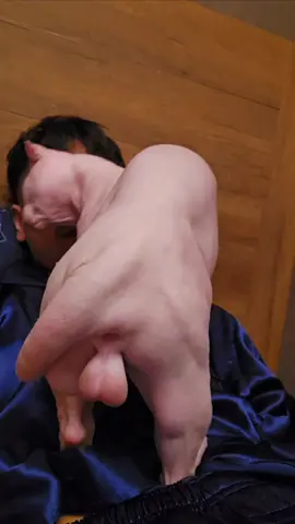 กล้ามเนื้อเป็นมัดๆ