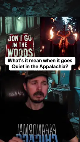 What's it mean when it goes Quiet in the Appalachia.   #appalachia  #appalachianmountains  #appalachian  #wendigo  #wendigoonclips  #scarystorytime  #truestories  #creepystorytime  #spookystory  #appalachiantrail  #scarytiktok 