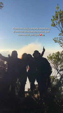 Hacen que cada cumbre sea especial✨🤝🏻⛰️ @Brandon Bobadilla @M A R I L Y N  #trepacerros #guatemala🇬🇹 #volcantacaná #Hiking #tiktokers #volcanes #fyp #friends 