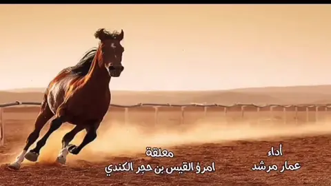 #معلقة_امرئ_القيس #قفا_نبك 