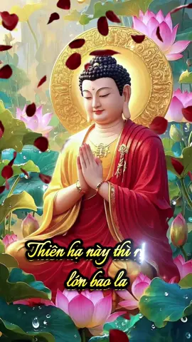 🧘‍♂️ Lời Vàng Phật Dạy: Cát bụi !🌼 #PhậtPháp #BìnhAn #GiácNgộ #TâmLinh #SốngChậmLại