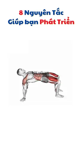 8 nguyên tắc cơ bản giúp bạn tập luyện phát triển hơn. #Workout #Gym #TWorkout #Calisthenic 