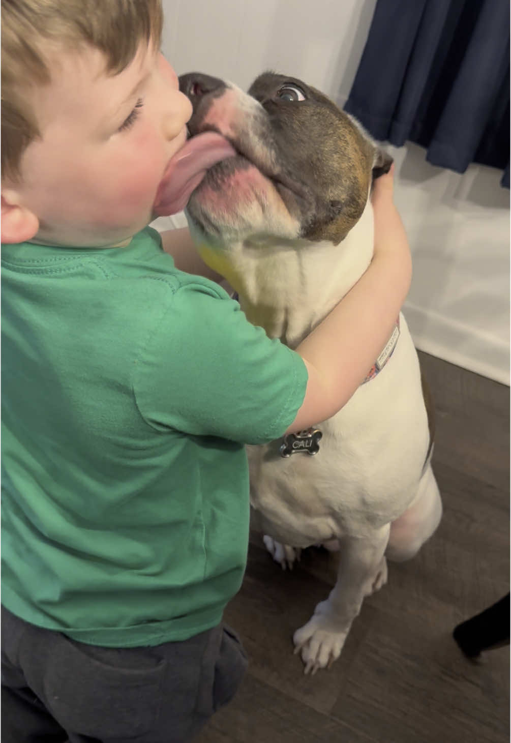 #creatorsearchinsights #mybestfriend #mybestfriends #godgavemeyou #myson #mylove #bestfriend #BestFriends #protection #protector #pitbull #pitbullsoftiktok #pitbulls #pitbulllove #pitbulldogs #pitbullmom #dog #dogsoftiktok #dogs #dogsoftiktokviral #kiss #kisses #fyp #fypシ #fypageシ #fypシ゚viral #toddlersoftiktok #toddler #toddlermom #kidandpet #kidsbestfriend #Love #happiness #happinessisyou #family #familylove #millennial #millennialmom #myworld 