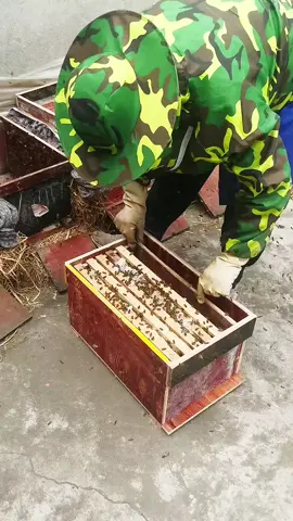 Mũ liền áo bảo hộ khi lấy mật ong,tránh côn trùng đốt