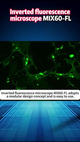 MIX60-FL#microscope #Routinebiologicalmicroscope #tiktok #factory #Biology 