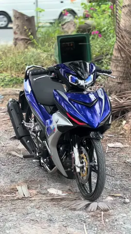 #xuhuong #mxking150 #ex150 #y15zr 