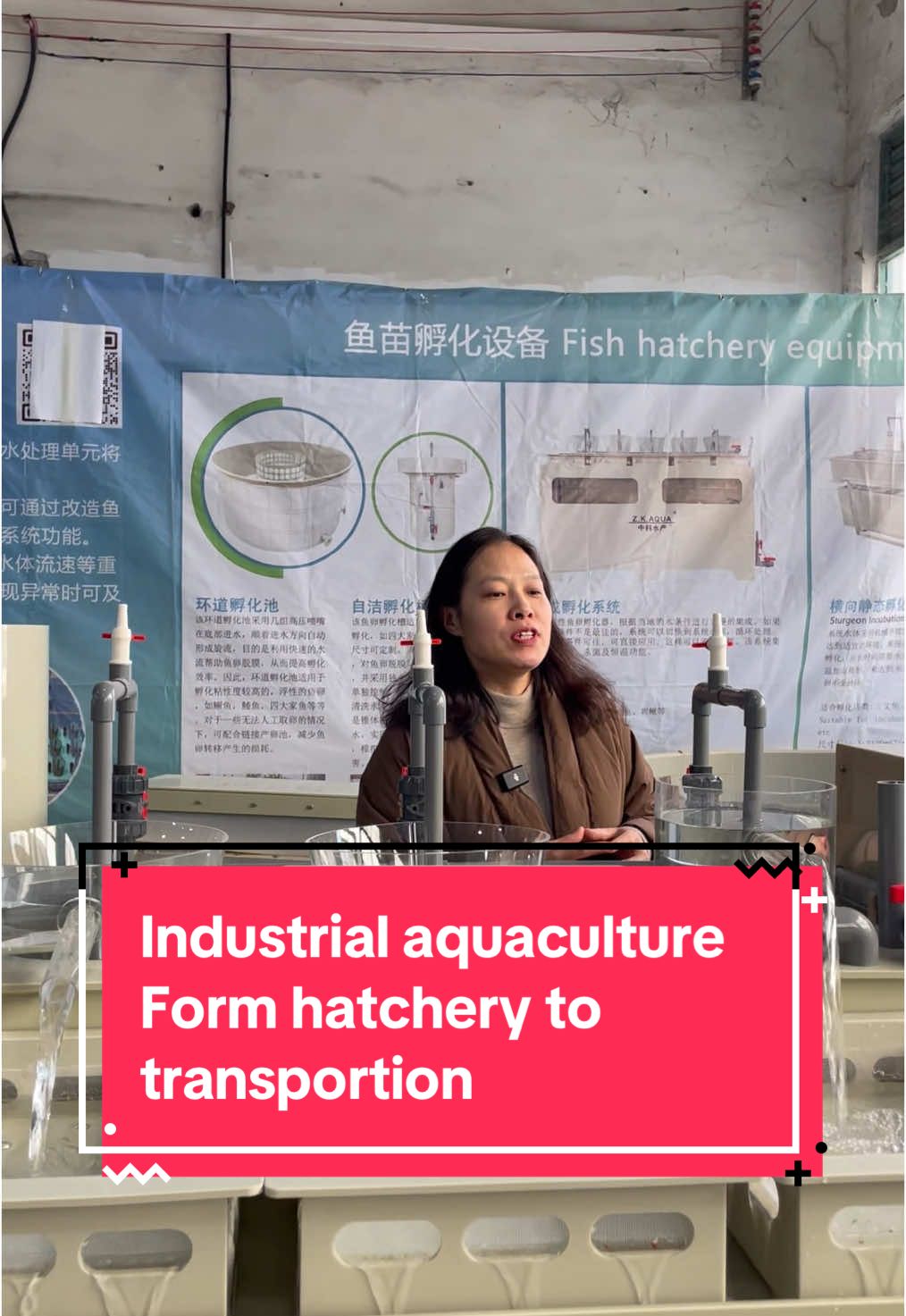 The industrialized process from the hatching of fish fry to their transportation #fishfarming #tilapia #aquaculture #fishfry #fishfarmingequipment #incubator #fishhatchery 