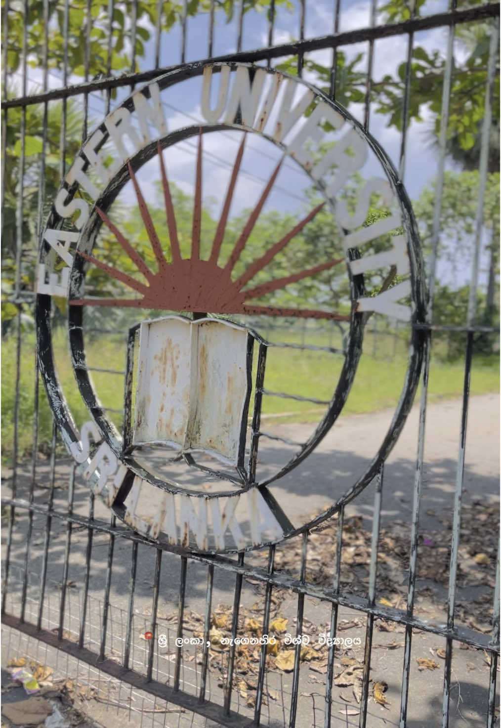 මේ කාලයකට පෙරාතුව එක් කාර්තුවක මා සිටි වටපිටාවය, මා වටා වූ දේවල් ය, මා වටා උන් අයගේ කතාවය, දැන් ඔවුන් මෙහි නැත, කාලය ඔවුන් ගම්බිම් බලා රැගෙන ගොස් ඇත... එබැවින් මම ඔවුන්ව මවාගනිමි, ඔවුන්ට සිනාසෙමි, අතවනමි, එක්වූ වෙන්වූ ඔවුනට හිමිව තිබූ සුන්දර අතීතය නිහඬව සිහිකරමි..! ♥️ ~copied  #easternuniversity_srilankay_srilanka #Eastern #srilanka #easternuniversity_srilanka #lastdayinuniversity 