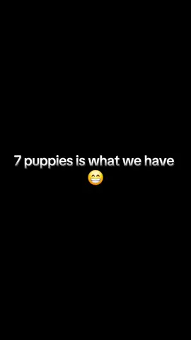 what a wonderful surprise. ended up with 7 instead of 4 like I was told by the vet #puppies 