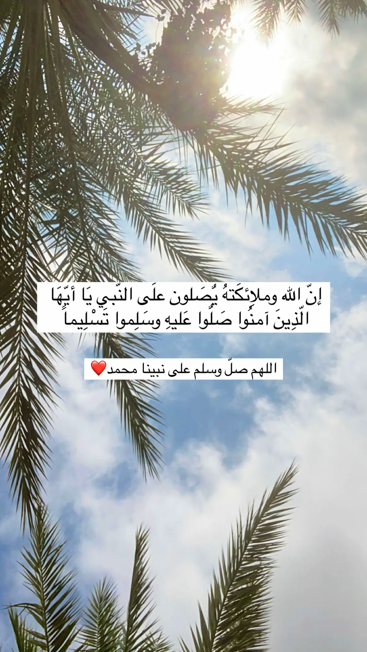 #ان_الله_وملائكته_يصلون_على_النبي_ #يوم_الجمعه#اكثروا_من_الصلاة_على_نبينا_محمد #اللهم_صلي_على_نبينا_محمد 