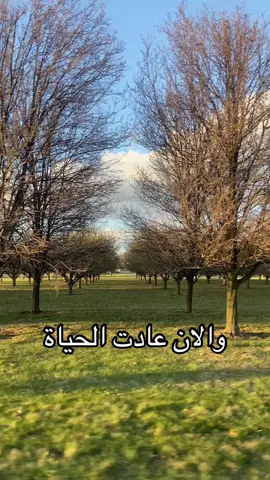 والان عادت الحياة