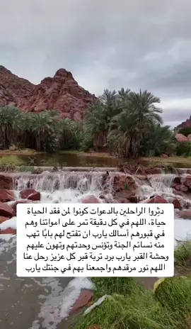 دثِروا الراحلين بالدعوات كونوا لمن فقد الحياة حياة، اللهم في كل دقيقة تمر على امواتنا وهم في قبورهم أسالك يارب ان تفتح لهم بابًا تهب منه نسائم الجنة وتؤنس وحدتهم وتهون عليهم وحشة القبر يارب برد تربة قبر كل عزيز رحل عنا اللهم نور مرقدهم واجمعنا بهم في جنتك يارب#يوم_الجمعة #اللهم_صل_وسلم_على_نبينا_םבםב 