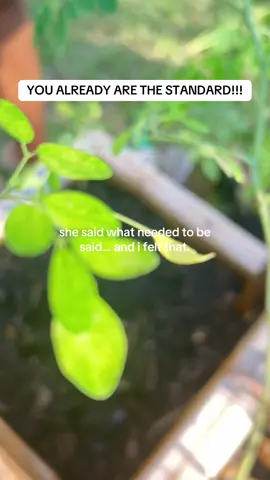 The garden never questions why the sunflower doesn’t look like the rose. Each grows in its own time, in its own way. Lauryn said it best— you weren’t made to fit into their standard… because you are the standard. And that truth? It hits different out here! #youarethestandard #gardentherapy #womenover40 #laurynhill 