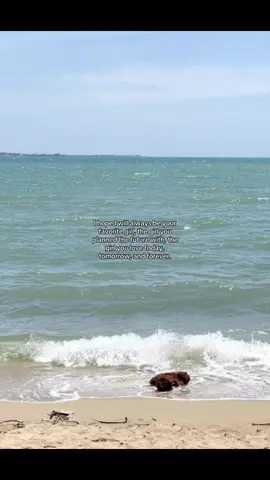 #deepthoughts #untoldthoughts #favorite #him #imissyou #iloveyou #foryoupage #fyppppppppppppppppppppppp #foryoupage 